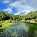 포비네 오두막 이미지