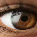 눈에편한안경 이미지