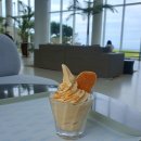 훈데르트힐즈 이미지