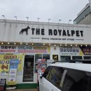 더펫미용실 이미지