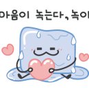 꽃집화요일 이미지
