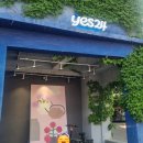 볼만한곳 🐱 초등 아이랑 동성로 하루 코스 | 소품샵 소솜 + 중고서점 예스24 + 고양이카페 집사의하루 후기