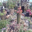 관용농장 이미지