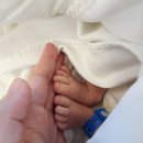 로즈마리산후조리원 이미지