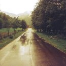 입장 제일행정사 이미지