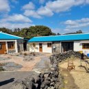 삼달리-16 | 삼달리꽃밭에서