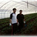 봉재농장 이미지