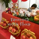 홍홍사과