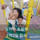 최강키즈태권도장 이미지