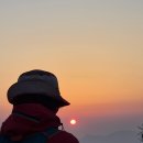 한가라지 이미지