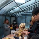 달빛동화마을 이미지