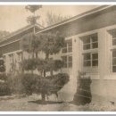 동막초등학교 이미지