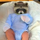 이레 돈까스 막국수 이미지