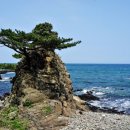 경주주상절리펜션 이미지