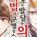 고도D&C