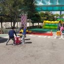 지도초등학교 병설유치원 이미지