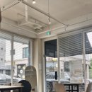 무티티(mutt) 이미지