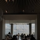 소노펠리체 델피노 이미지