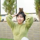 대구강아지분양 테디럽 이미지