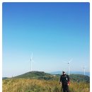 조은목장 이미지