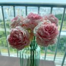 28cm 핑크} & {아워글래스 투명화병 L 그린} 내돈내산 후기 - 생화 같은 조화 하나로 완성한 감성 인테리어