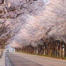 바이크 탐방로4 이미지