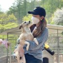 율푸드
