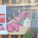 힘쎈소한마리 이미지