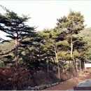 보령머드솔향 이미지