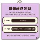 토정어린이공원 | 과천 플레이월드 그라운드플래닛 대형 키즈카페 총정리