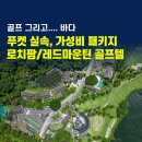레드마운틴 네이버블로그
