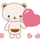 일라레콜로로 이미지