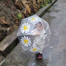 라라키즈어드벤처 /부산 키즈카페 /부산점 롯데마트키즈카페 /19개월아기 키즈카페