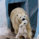 노르웨이식당 이미지