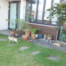 굿이너프데이 이미지