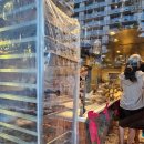 코나코코커피 | 251222 하와이 여행 5일차: 와이키키 코나 커피(오픈런), 마카푸우 등대 트레일