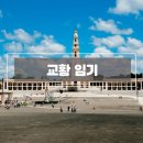 바오로의원 | 새로운 교황 선출, 교황 임기는?