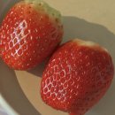 어글리독 | [2512] 02 - 저 안 되는 줄 알았어요