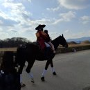 월성체육시설 | 경주 인왕동 소재 꼭 가봐야 할 주요 관광지 "첨성대" 방문 후기(주차 꿀팁 등)