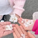 그린힐 앞 이미지