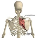 디클리셰 이미지