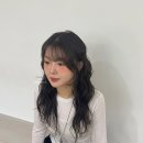 로티플헤어