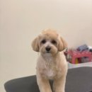 순독살롱 이미지