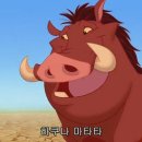 하쿠나마타타 이미지