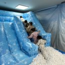 푸른꿈어린이집 놀이터 이미지