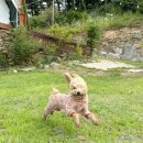 여기서 놀개 이미지