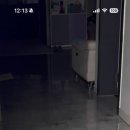 똥강지 이미지