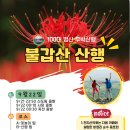 천지산악회687회 불갑산 -상사화산행 이미지