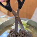 맛있는인생고깃집 이미지