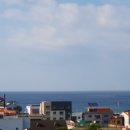 제주희동이네 이미지